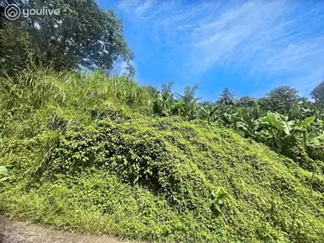 Le Lorrain 97214 Achat / Vente terrain