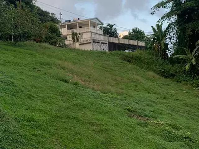 Le Lorrain 97214 Achat / Vente terrain