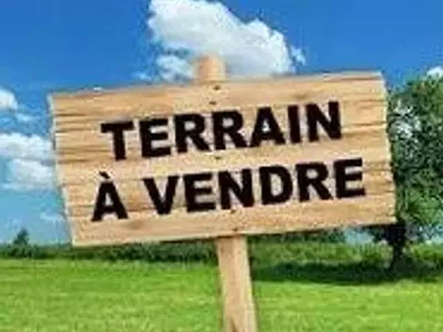 Le Lorrain 97214 Achat / Vente terrain