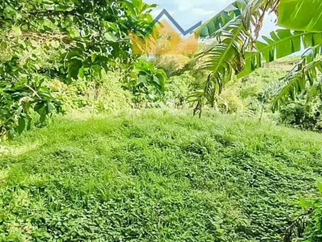 Le Lorrain 97214 Achat / Vente terrain