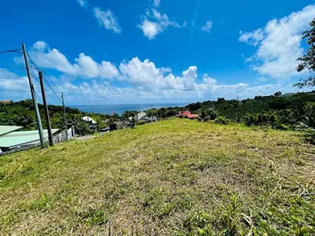 Le Lorrain 97214 Achat / Vente terrain