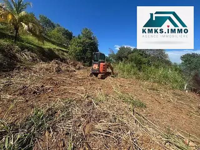 Le Lorrain 97214 Achat / Vente terrain