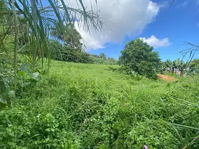 Le Lorrain 97214 Achat / Vente terrain