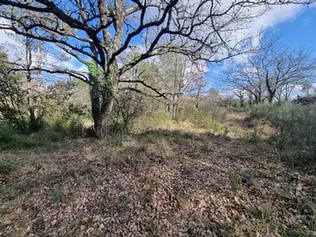 Le Luc 83340 Achat / Vente terrain