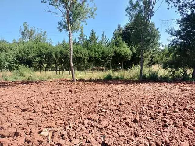 Le Luc 83340 Programme neuf terrain neuf à vendre