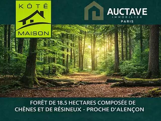 Le Mans 72000 Achat / Vente terrain