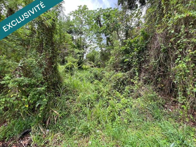 Le Marin Vente Terrain 97