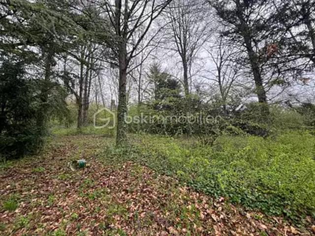 Le Mérévillois 91660 Achat / Vente terrain