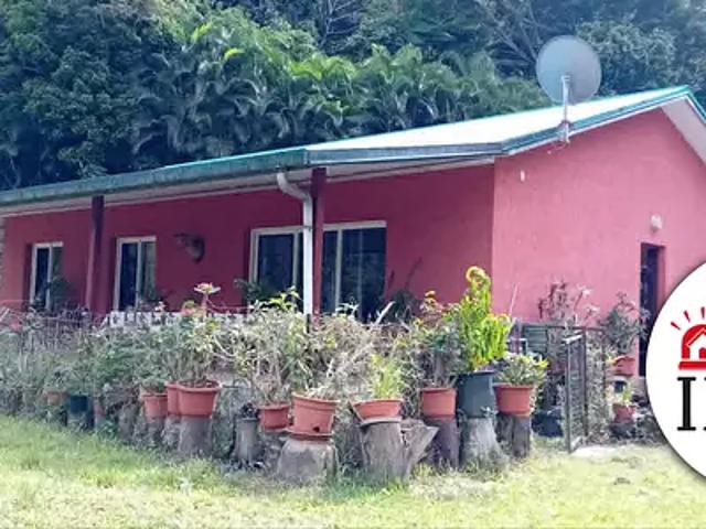 Le Mont Dore 98809 Achat / Vente maison 4 pièces t4 terrasse parking
