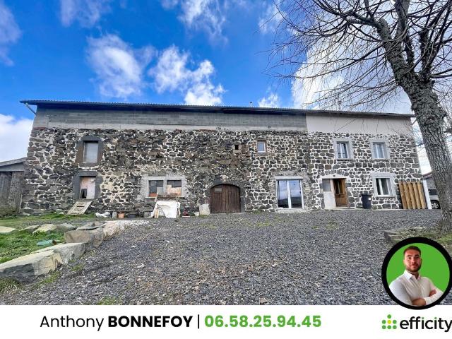Le Monastier sur Gazeille Vente Ferme 43