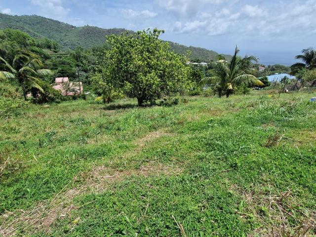 Le Morne Vert Vente Terrain 97