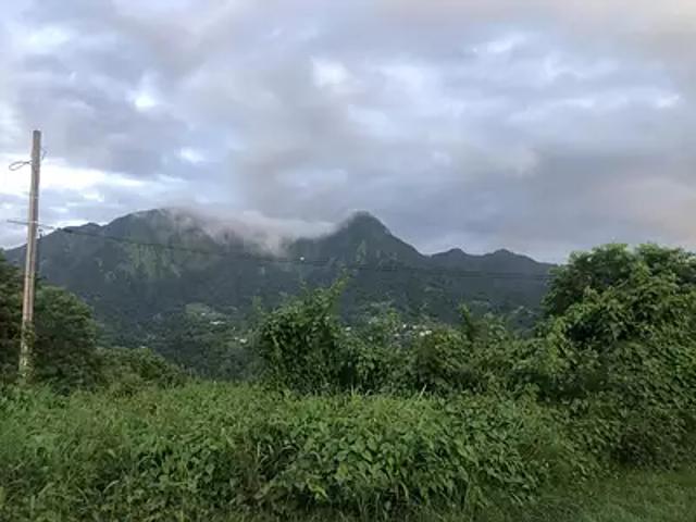 Le Morne Vert 97226 Achat / Vente terrain