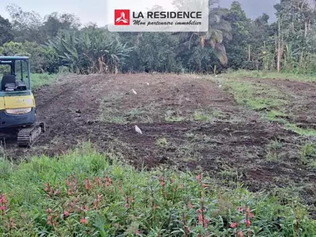 Le Morne Rouge 97260 Achat / Vente terrain