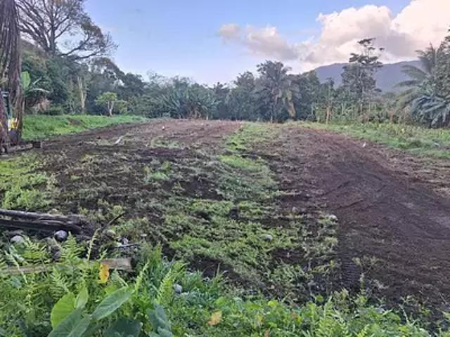 Le Morne Rouge 97260 Achat / Vente terrain