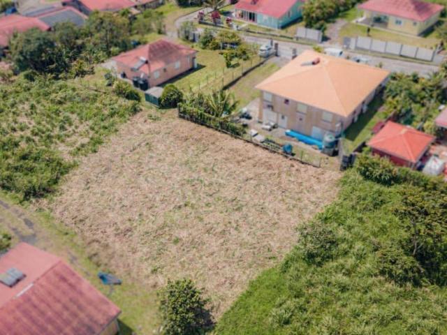 Le Morne Rouge Vente Terrain 97