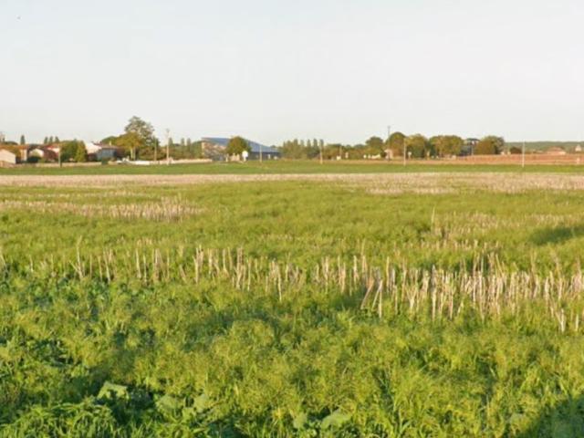 Le Mung Vente Terrain 17