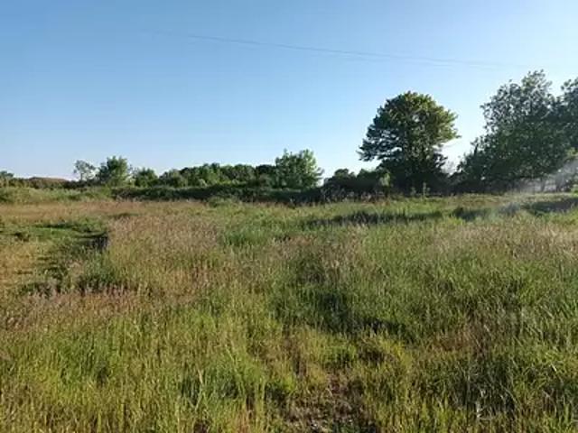 Le Mung 17350 Achat / Vente terrain