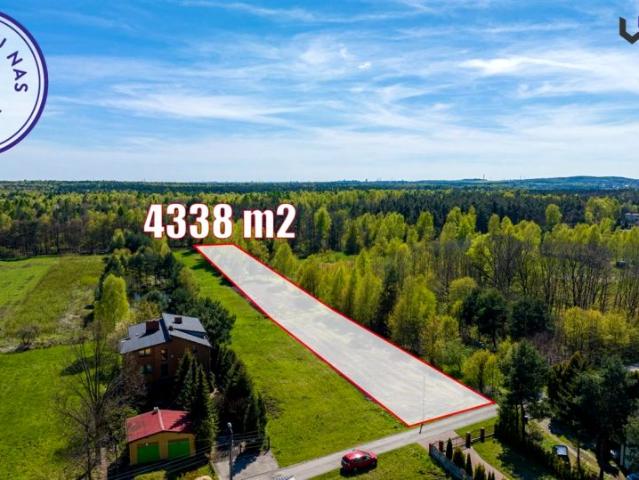 Leśna 4 338 m², Ossy