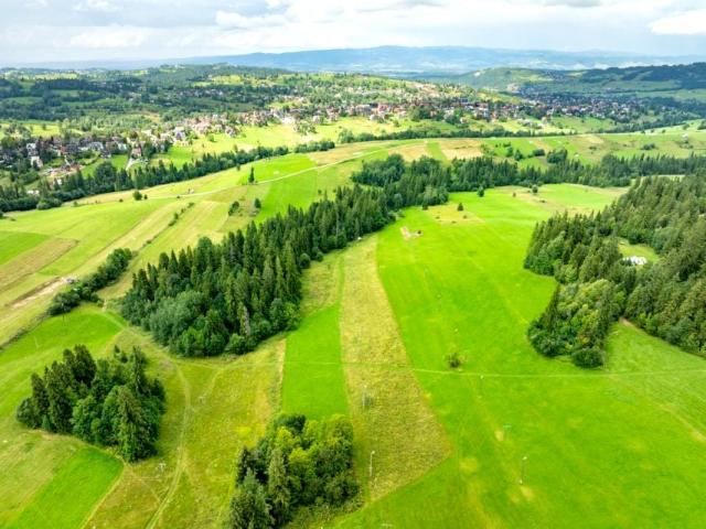 Leśna 7 839 m², Bukowina Tatrzańska