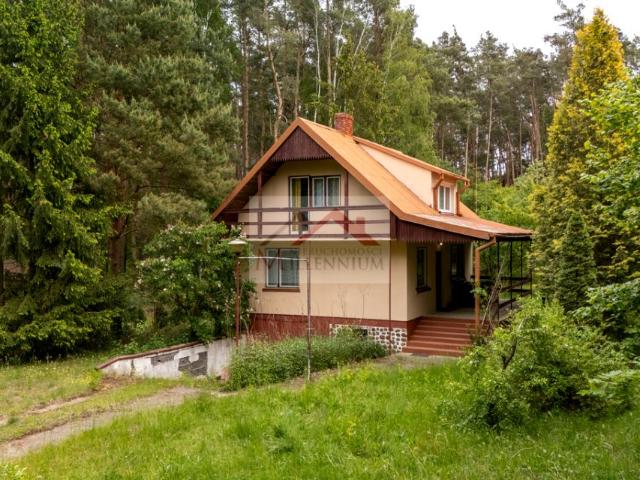 Leśna 1 056 m², Borkowo