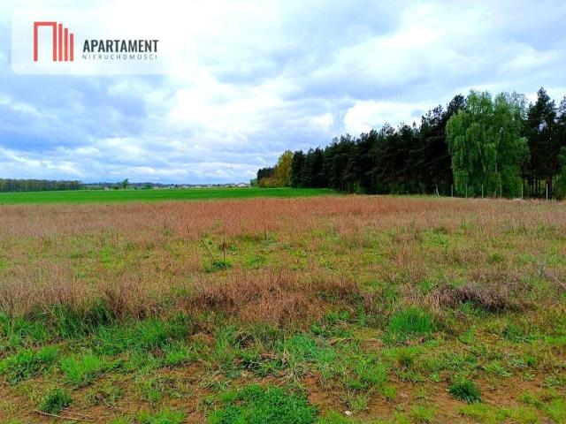 Leśna 1 022 m², Tryszczyn