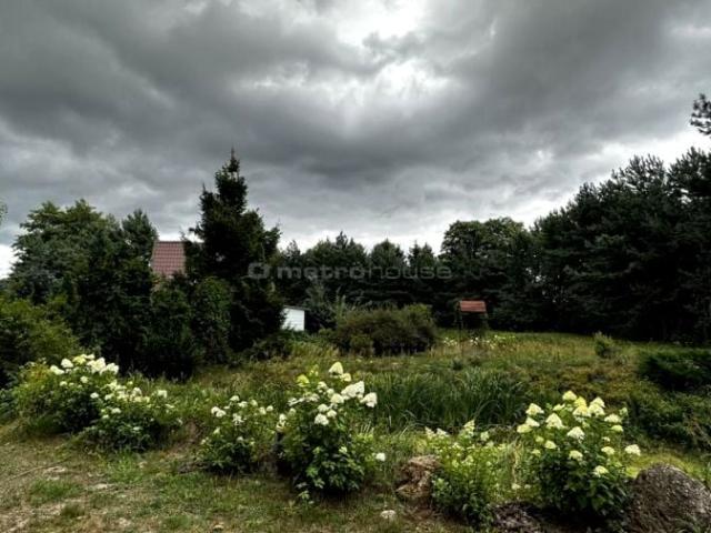 Leśna 1 500 m², Łomazy