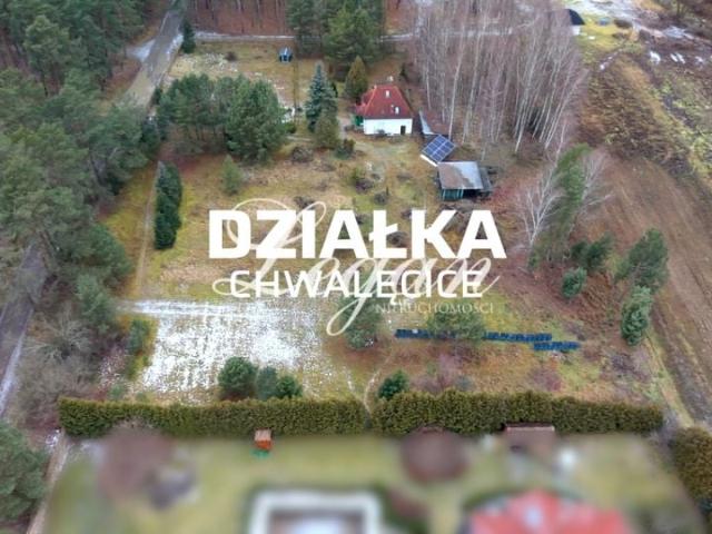 Leśna 1 507 m², Chwalęcice