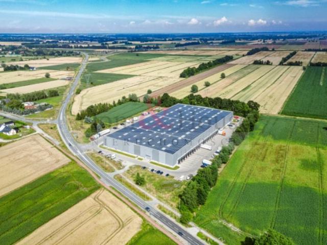 Leśna 39 048 m², Cedry Wielkie