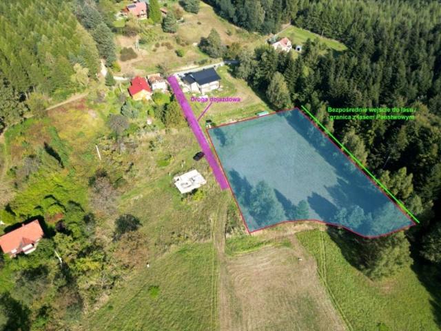 Leśna 3 056 m², Odrzykoń