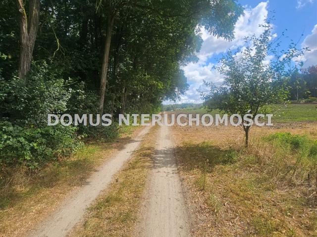 Leśna działka w Nagawkach 1915 m² – idealna pod inwestycję