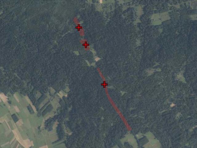 Leśne działki w Podwilku 12 353 m² pod inwestycję