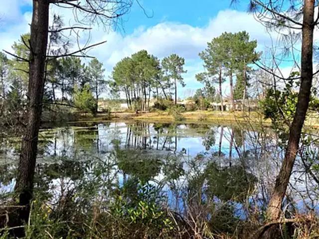 Le Pian Médoc 33290 Achat / Vente maison 4 pièces t4
