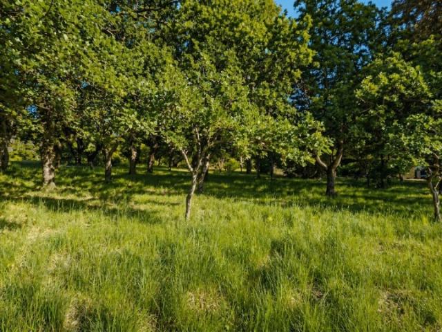 Le Poët Laval Vente Terrain 26