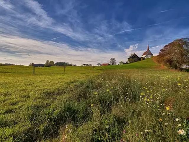 Le Poiré sur Vie 85170 Programme neuf terrain neuf à vendre