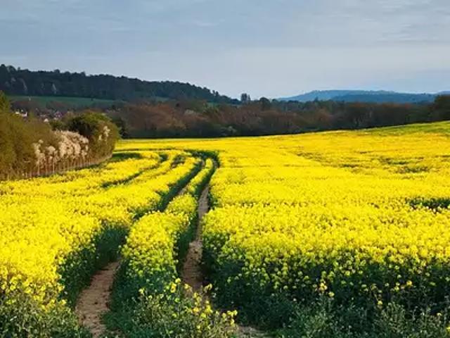 Le Poiré sur Vie 85170 Programme neuf terrain neuf à vendre