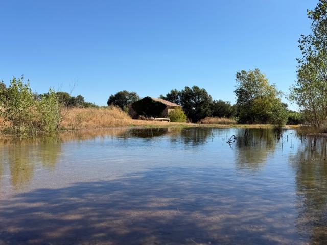 Le Pouget Vente Terrain 34
