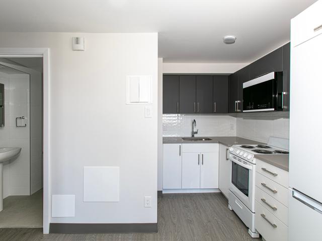 Le Plateau 3605 St Urbain Le Plateau 3605 St Urbain 1 Bedroom Apartment for Rent