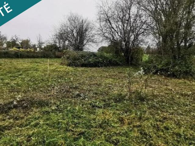 Le Plessis Feu Aussoux Vente Terrain 77