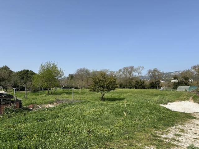 Le Pradet Vente Terrain 83