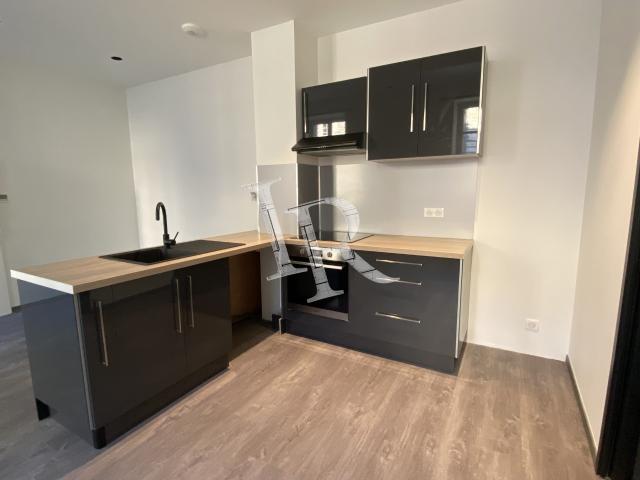 Le Puy en Velay Location Appartement 43