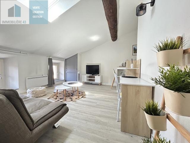 Le Puy en Velay Location Appartement 43
