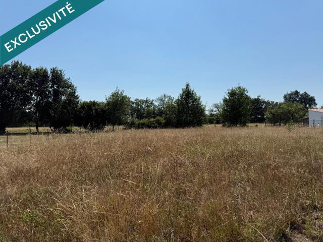 Le Puy Vente Terrain 33