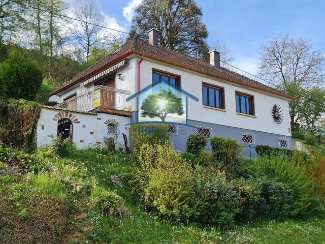 LEMBACH 67 MAISON 104m2 sur 12.62 ares