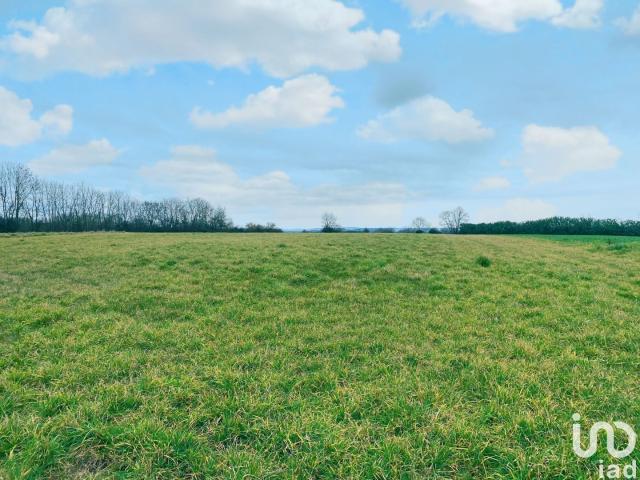 Lembeye Vente Terrain 64