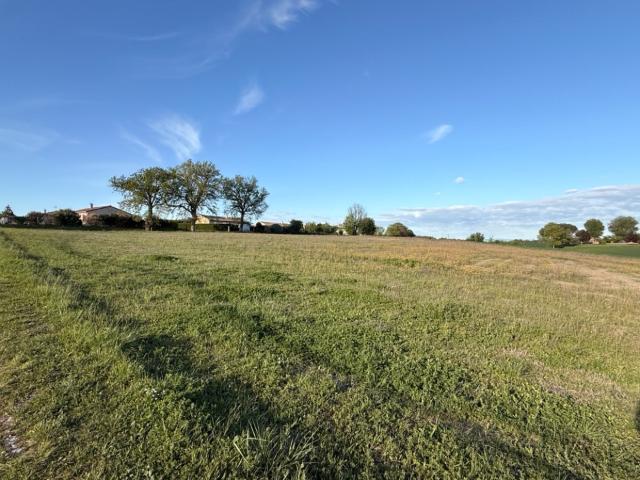 Lempaut Vente Terrain 81