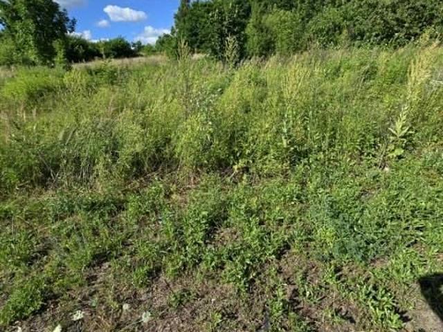 Lenartowicza 934 m², Sosnowiec