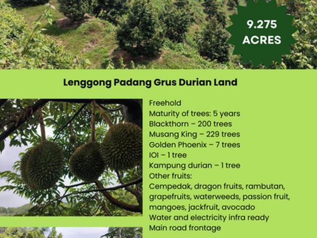 Lenggong