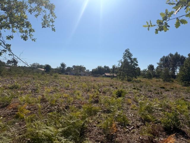Léognan Vente Terrain 33