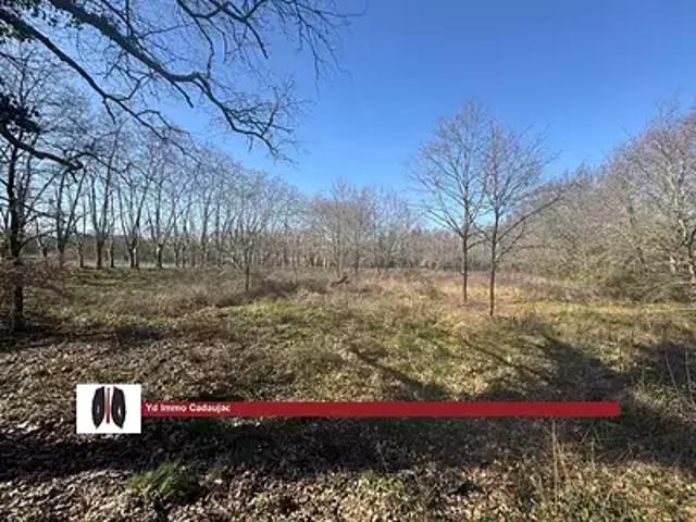 Léognan 33850 Achat / Vente terrain