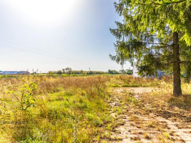 Leonów 3 398 m², Niemce